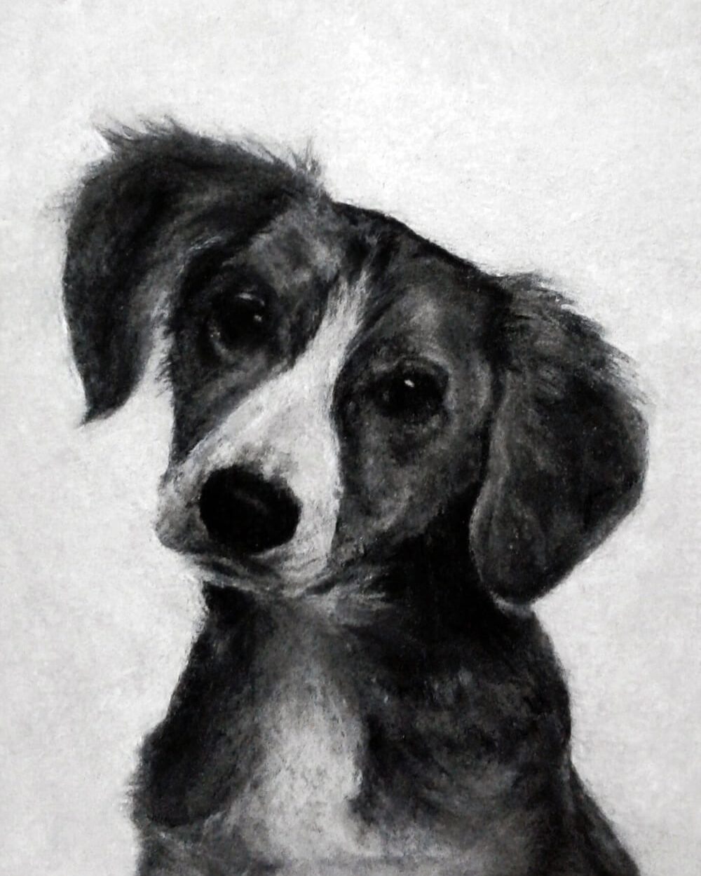 dog memorialized as portrait made of cremated remains